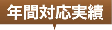 年間の対応件数に関する実績をまとめた見出し